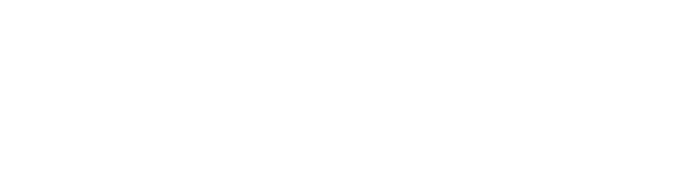Zanzar Sistem